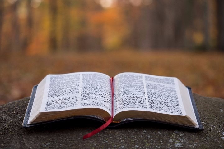 open bible outdoors, woods, fasting scriptures